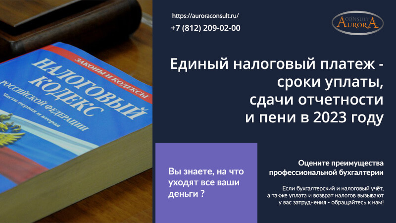 Единый налоговый платеж — сроки уплаты, сдачи отчетности и пени в 2023 году