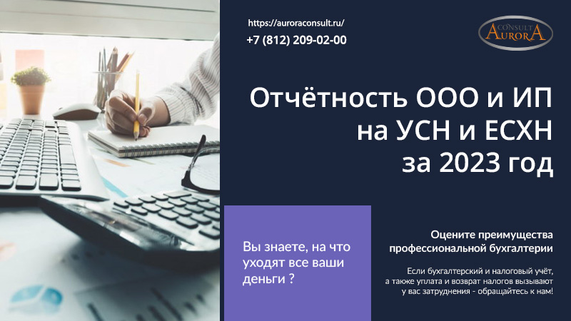 Отчётность ООО и ИП на УСН и ЕСХН за 2023 год